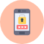 digital-wallet-e-lock-mobile-banking-passcode-icon