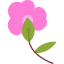 blossom-flower-nature-orchid-plant-tropical-icon