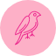 animal-bird-dove-wildlife-icon