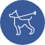 animal-dog-hobby-pet-relax-walking-icon