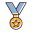 gold-medal-recognition-honor-achievement-excellence-victory-sports-competition-success-distinction-award-icon-icon