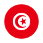 tunisia-flag-icon