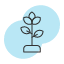 plant-nature-photosynthesis-oxygen-growth-chlorophyll-leaves-flowers-icon-vector-design-icons-icon