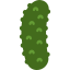 cucumber-icon