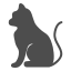 cat-animal-pet-pets-icon