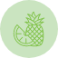 apple-fruit-pine-pineapple-veg-icon