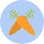 carrot-food-health-root-seeds-vegetable-icon