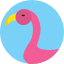 animal-bird-creature-flamingo-poultry-zoo-icon