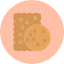 biscuit-cookie-cracker-food-snack-icon