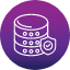 data-database-storage-shield-icon