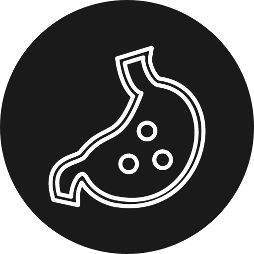 Abdomen Icon Digestion Icon Gaster Icon Organ Icon Stomach Icon Icon Icon Vector Icon 