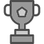 trophy-award-champion-leader-win-winner-icon