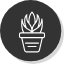 aloe-aristata-leaves-plant-soothing-succulent-vera-icon