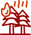 forest-fires-icon