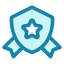 shield-protection-security-safety-secure-safe-star-icon