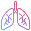 medicine-lungs-breath-anatomy-healthcare-lung-icon