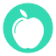 apple-fruit-fruits-breakfast-icon