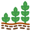 planting-grow-growth-plant-agriculture-icon