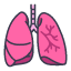 lung-body-health-human-internal-medical-icon