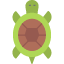 turtle-animal-ocean-sea-tortoise-icon