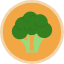 diet-broccoli-healthy-food-organic-vegetable-ingredient-icon