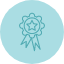 badge-medal-award-winner-achievement-icon
