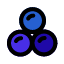 blueberry-berrys-tropica-forest-icon