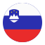 slovenia-country-flag-nation-circle-icon