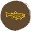 brown-trout-fish-fishes-fishing-freshwater-creature-icon