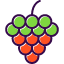 berry-bio-food-fruit-raspberry-vegan-fruits-and-vegetables-icon