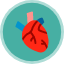 heart-love-valentines-valentine-health-medicine-patient-icon