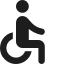accessible-icon
