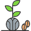organic-plant-coffea-fruit-coffee-icon