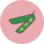 bean-food-legume-pea-pod-vegetables-icon