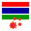 flag-country-corona-virus-gambia-icon