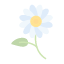 daisies-floral-flower-flowers-nature-spring-gardening-icon