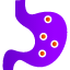 stomach-digestiongastroenterology-icon-icon