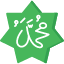 muhammad-star-s-a-w-islam-muslim-icon