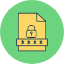 file-password-data-protection-document-paper-security-icon