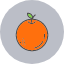 food-fruit-fruits-healthy-orange-icon