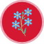 alpine-forget-me-not-myosotis-alpestris-flower-blossom-calendula-freshness-flowers-icon