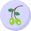 natural-oil-healthy-olive-vegetarian-organic-fruits-and-vegetables-icon