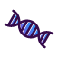 biology-chromosome-dna-genetics-genome-science-back-to-school-icon
