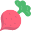food-radish-turnip-vegetable-veggie-icon