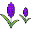 essential-oil-hyacinth-flower-aromatherapy-herb-flowers-icon