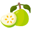 guavafruit-food-organic-vegan-healthy-diet-vegetarian-restaurant-icon