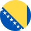 bosnia-and-herzegovina-icon