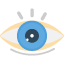 eye-preview-view-zoom-vision-look-icon