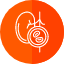 kidney-exam-check-health-checkup-organ-medical-icon