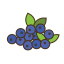 blueberries-icon